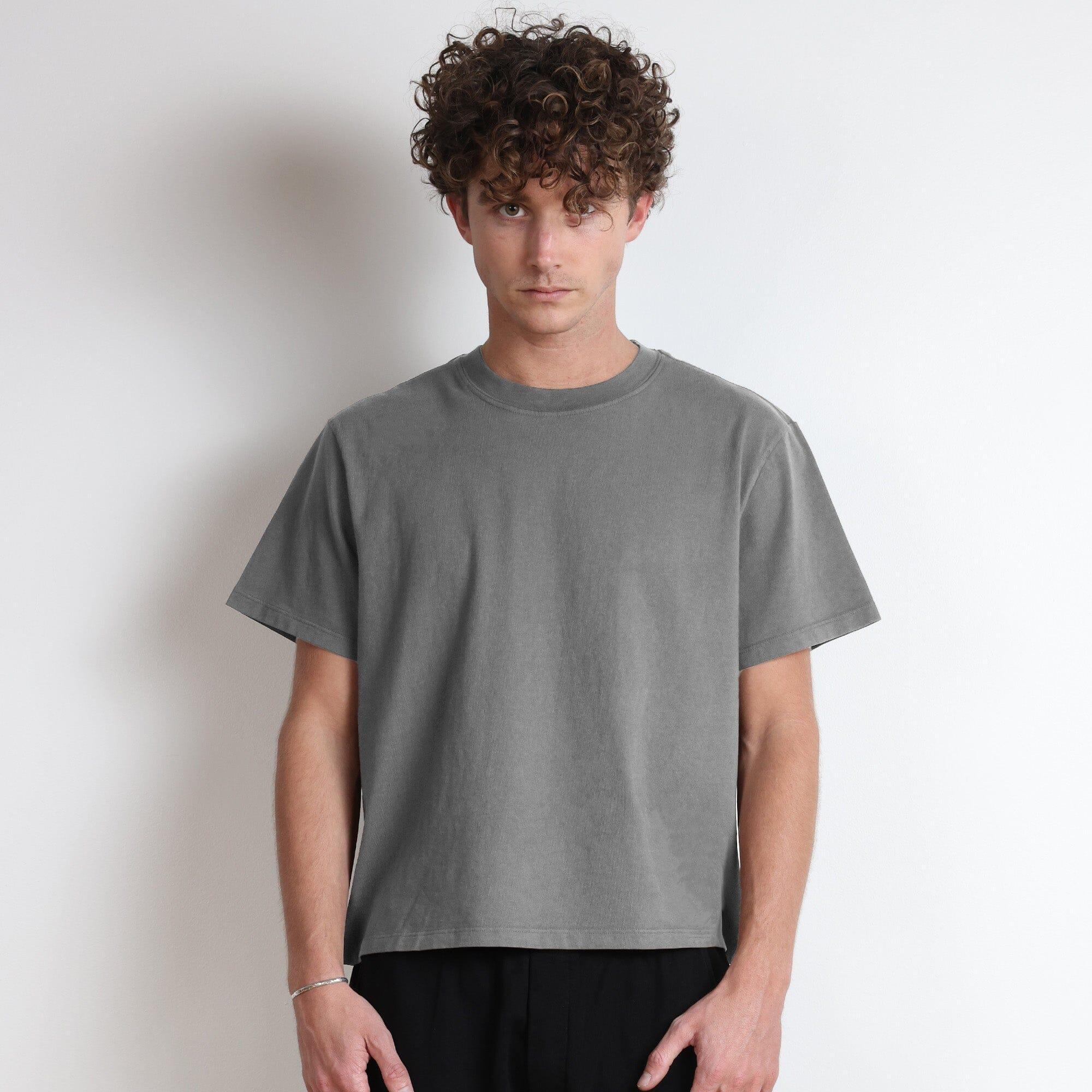 Silverlake Crop Tee II Product Image