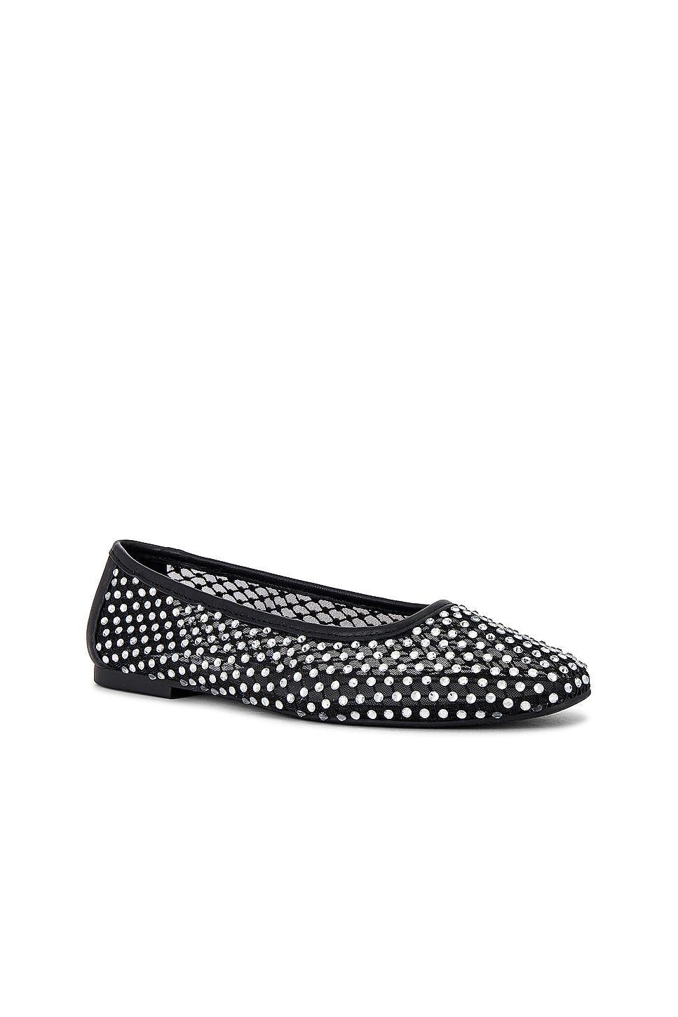 Ballet Flat Auden Steve Madden Product Image