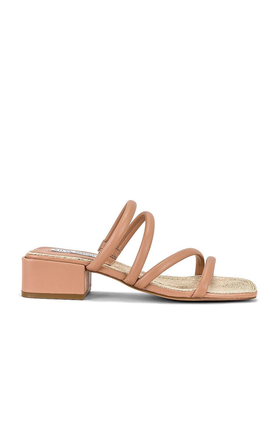 Citizen Sandal Steve Madden Product Image