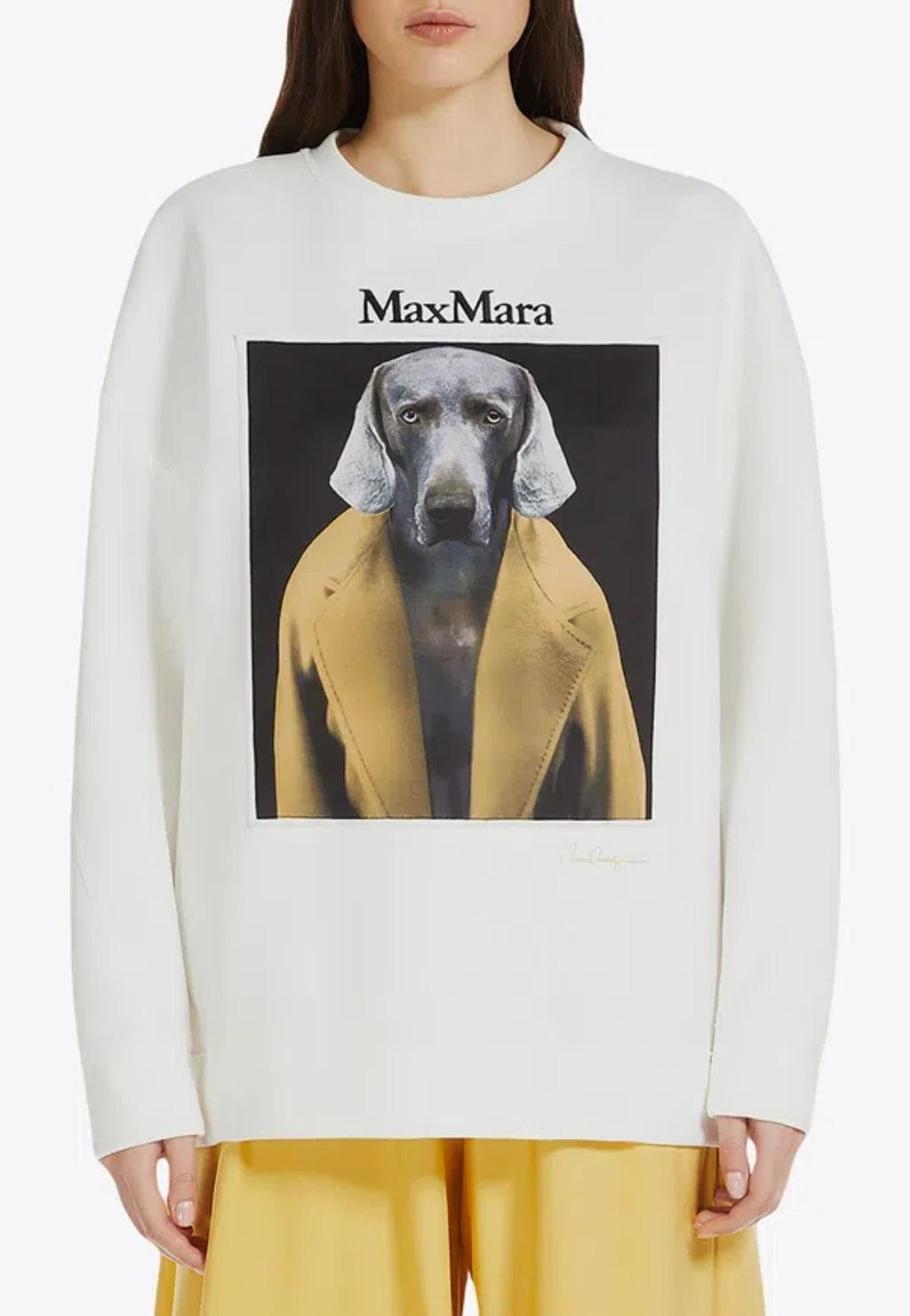 MAX MARA Sweaters In Weiss 2 Product Image