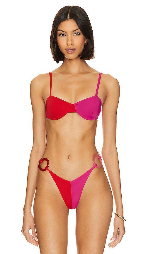 Berry Bra Top Saudade Product Image