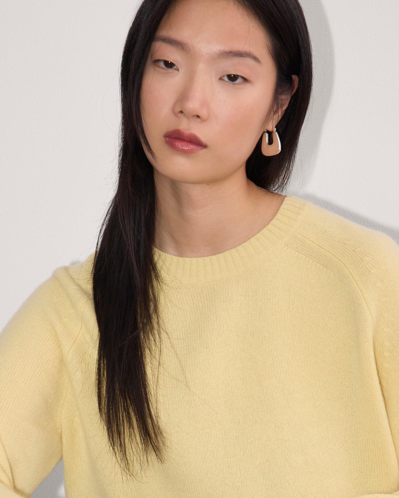 Womens Boxy Crew in Cashmere Sweater by Everlane Product Image