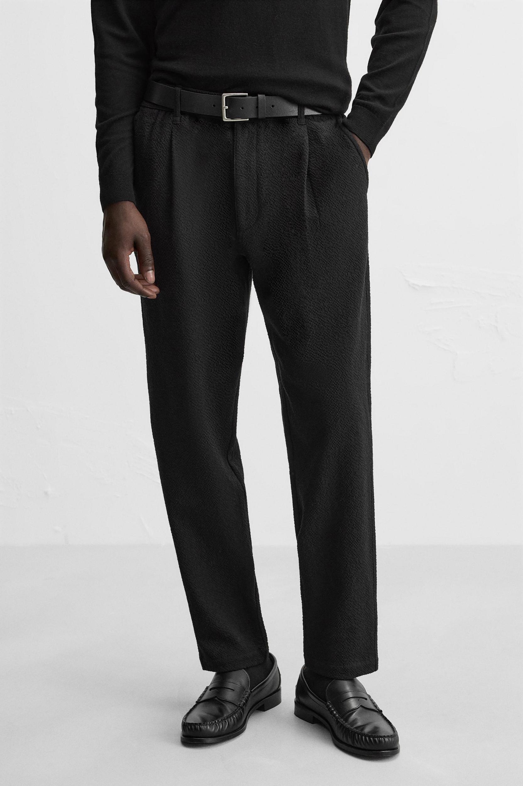 TEXTURED PLEATED PANTS Product Image
