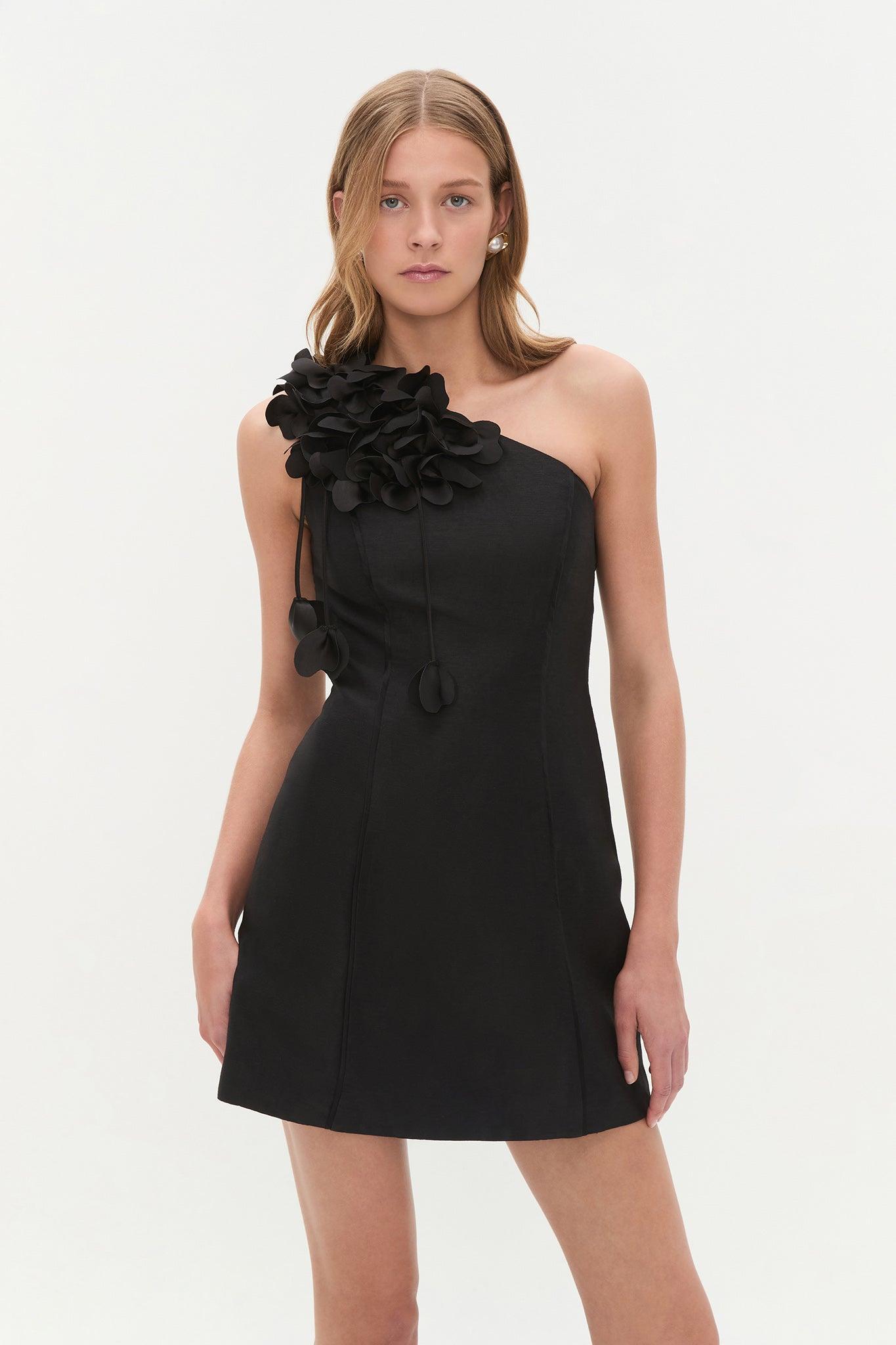 Camille Mini Dress Product Image