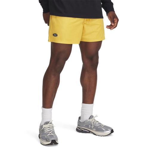 Mens UA Icon Mesh Shorts Product Image