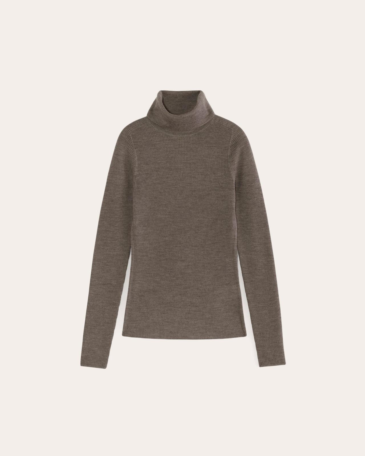 Womens Turtleneck in Ultrasoft Merino Sweater by Everlane Product Image