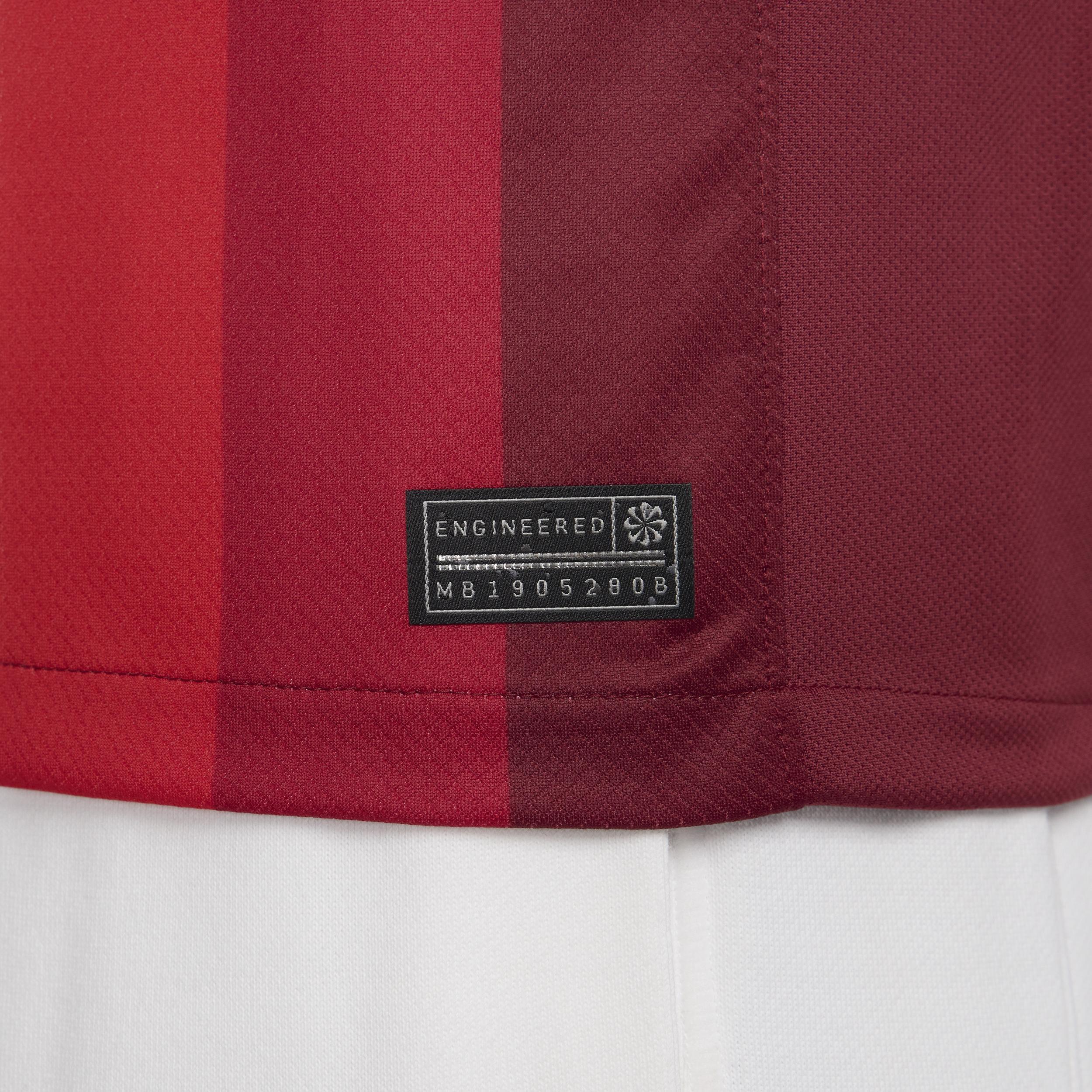 Norway (Team) 2024/25 Stadium Home Nike Mens Dri-FIT Soccer Replica Jersey | FZ0162-677 Product Image