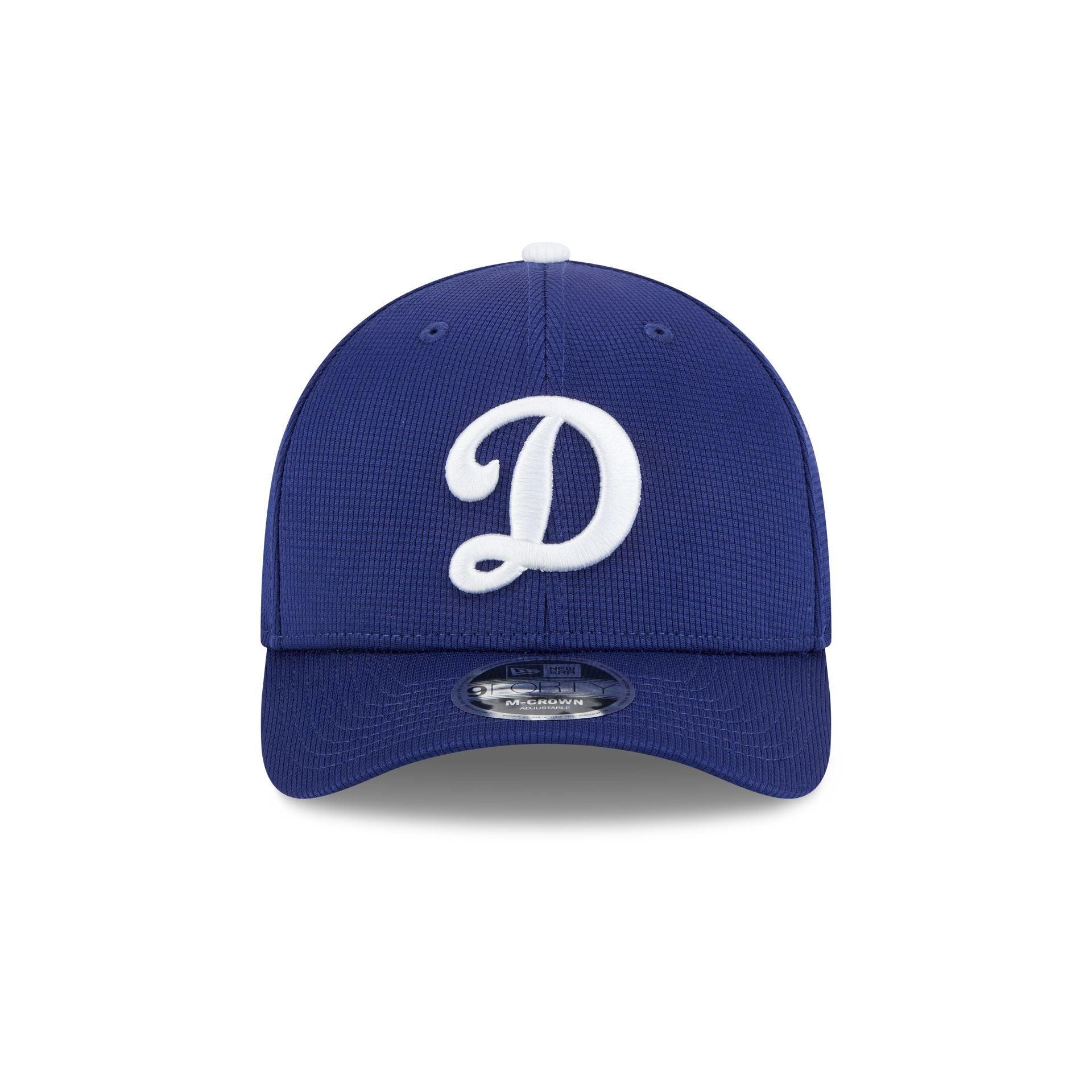 Los Angeles Dodgers 2025 Batting Practice 9FORTY M-Crown Snapback Hat Male Product Image