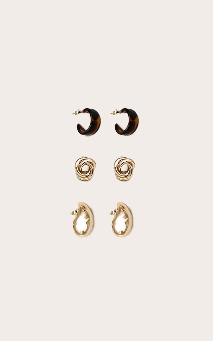 Gold Tortoiseshell Chunky Hoop Multi-pack Earrings Product Image