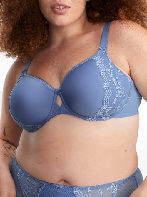 Charley Side Support Plunge Bra Product Image