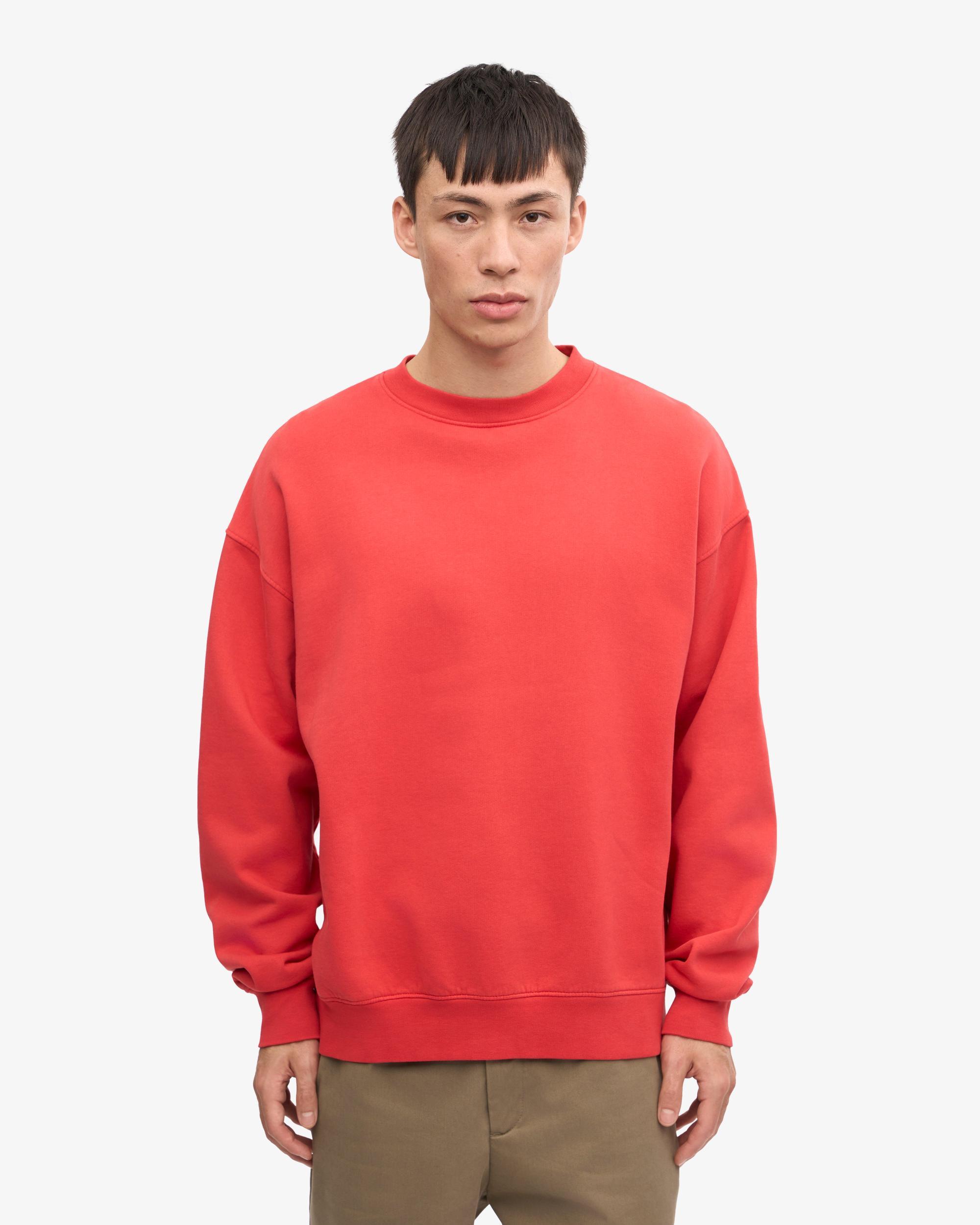 Organic Oversized Crew - Cedar Brown Product Image