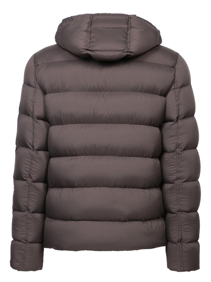 HERNO Brown Down Jackets Product Image