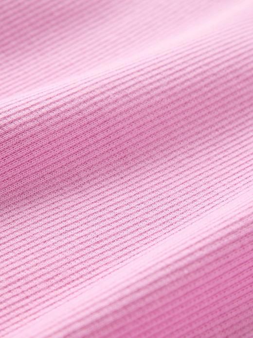 Heavyweight Rib Boatneck Crop T-Shirt Product Image