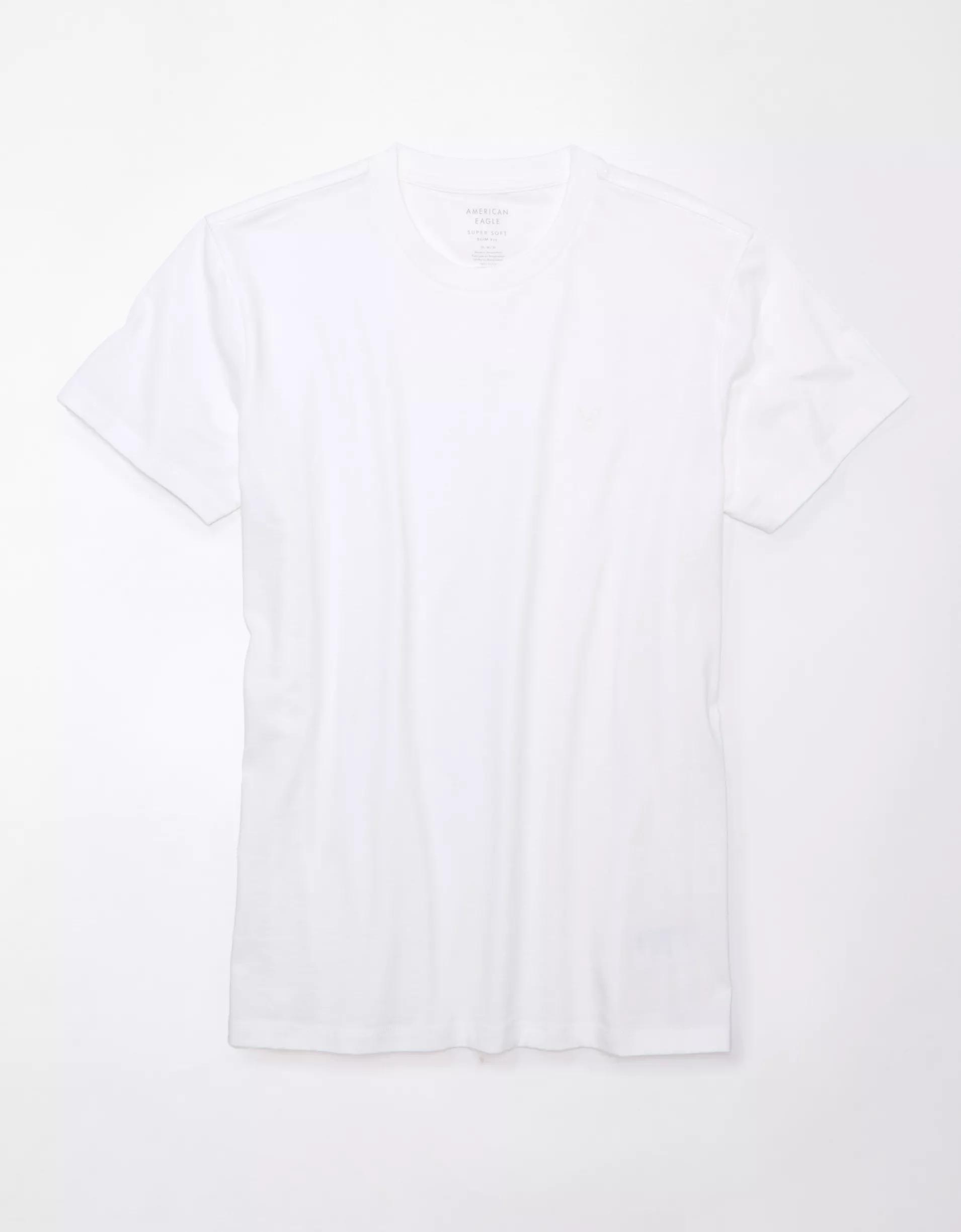 AE Lived-In Slim T-Shirt Product Image