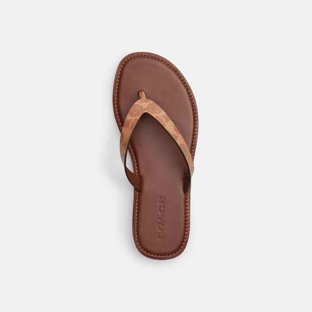 Brianna Flip Flop In Signature Canvas Product Image