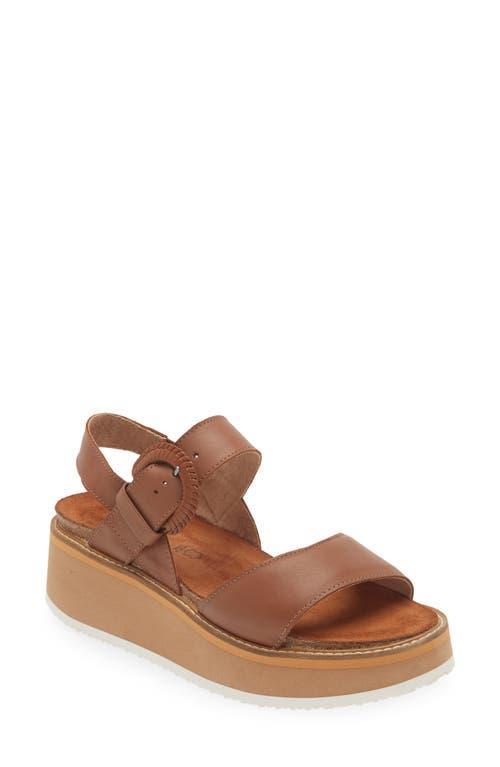 Naot Crepe (Soft Leather) Women's Shoes Product Image