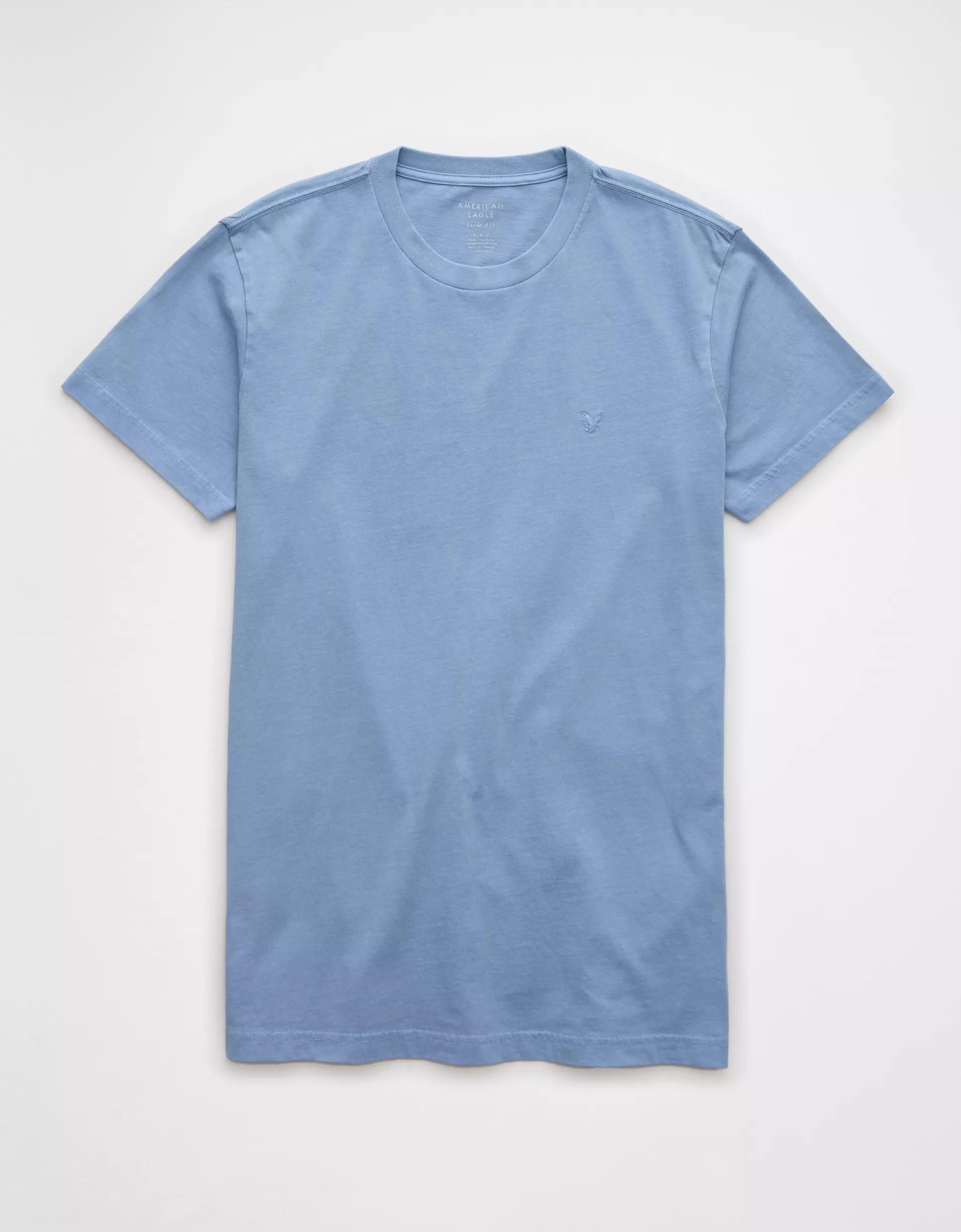 AE Lived-In Slim T-Shirt Product Image