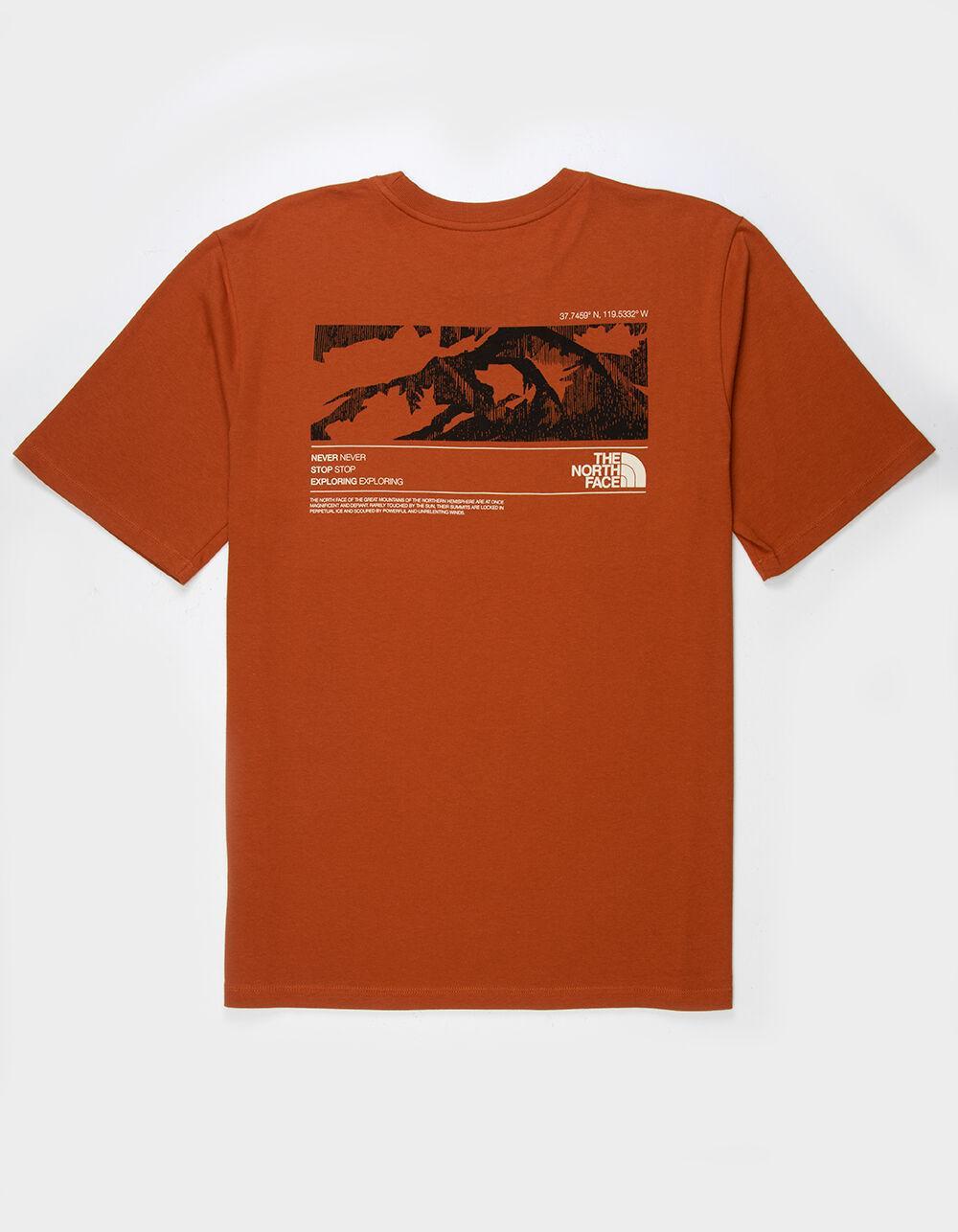 THE NORTH FACE Coordinates Mens Tee - TAN Product Image