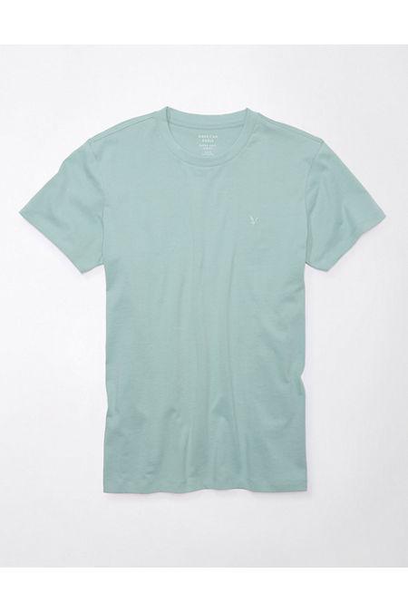 AE Lived-In Slim T-Shirt Mens Product Image