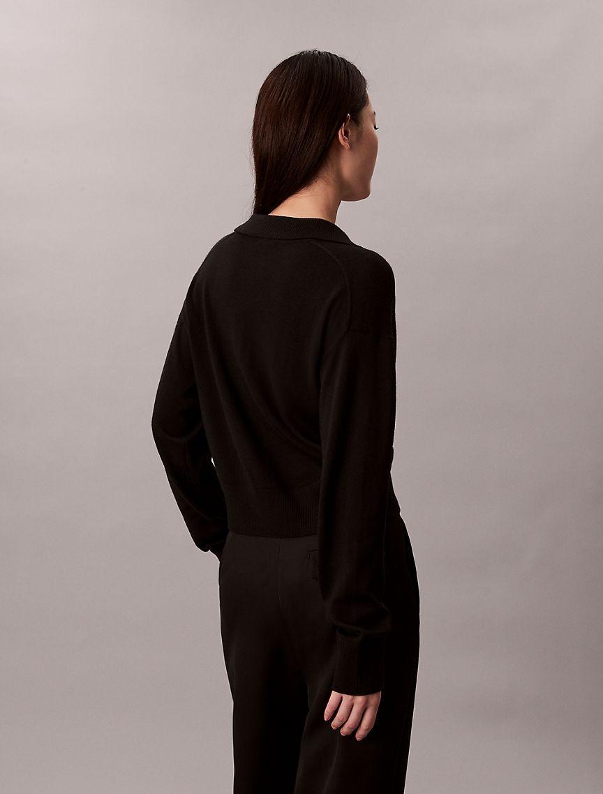 Merino Wool Blend Relaxed Polo Sweater Product Image