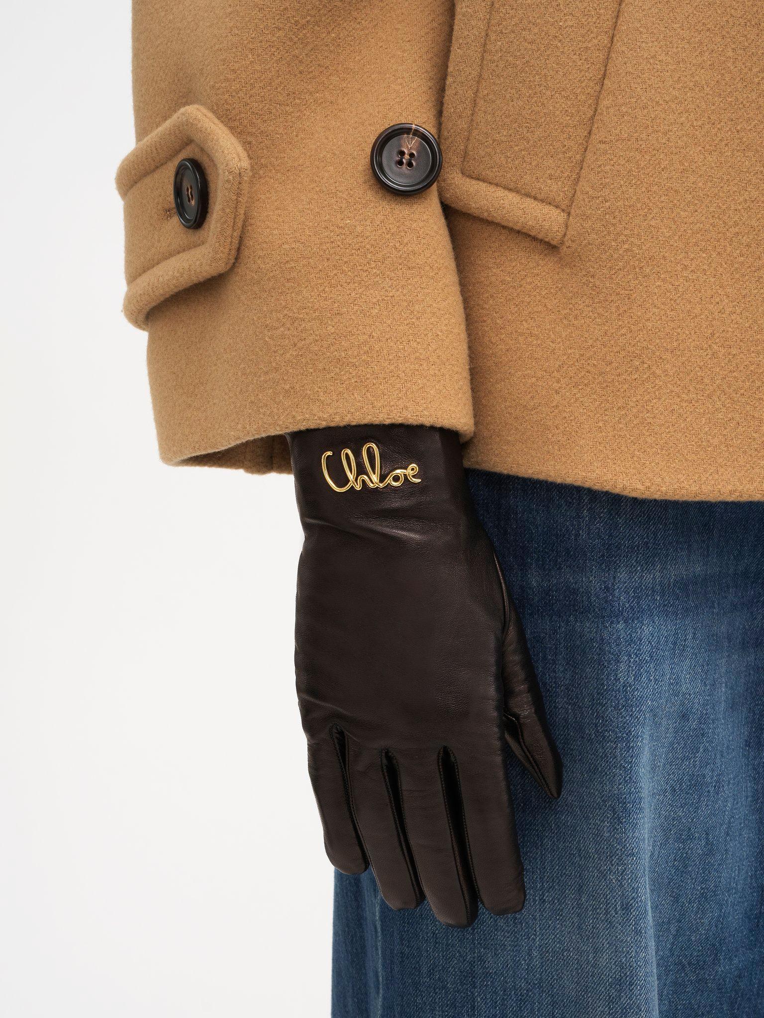 The Chloé Iconic gloves in leather Product Image