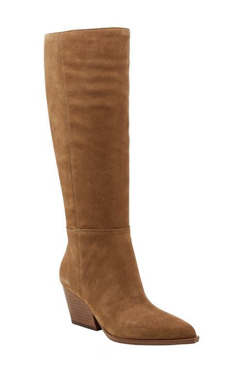 Womens Challi 50MM Suede Low-Heel Tall Boots Product Image