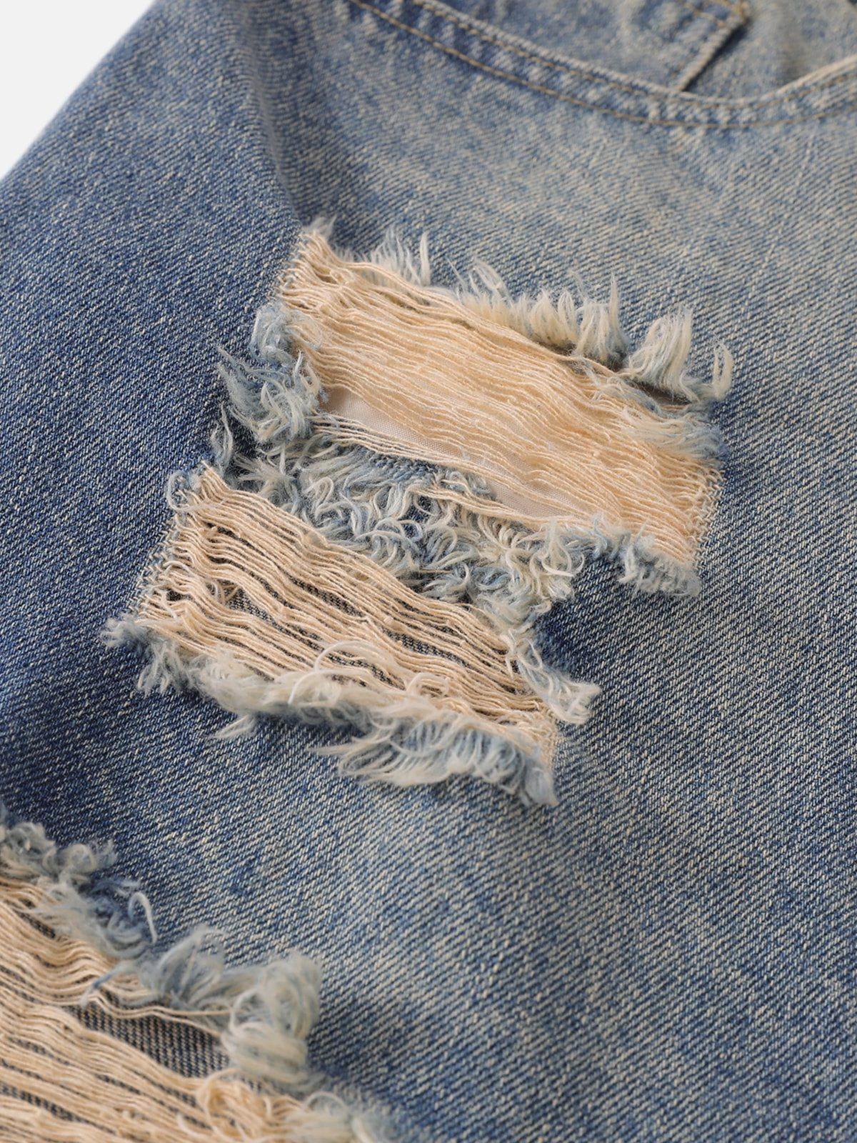 Aelfric Eden Multi Distressed Jorts Product Image