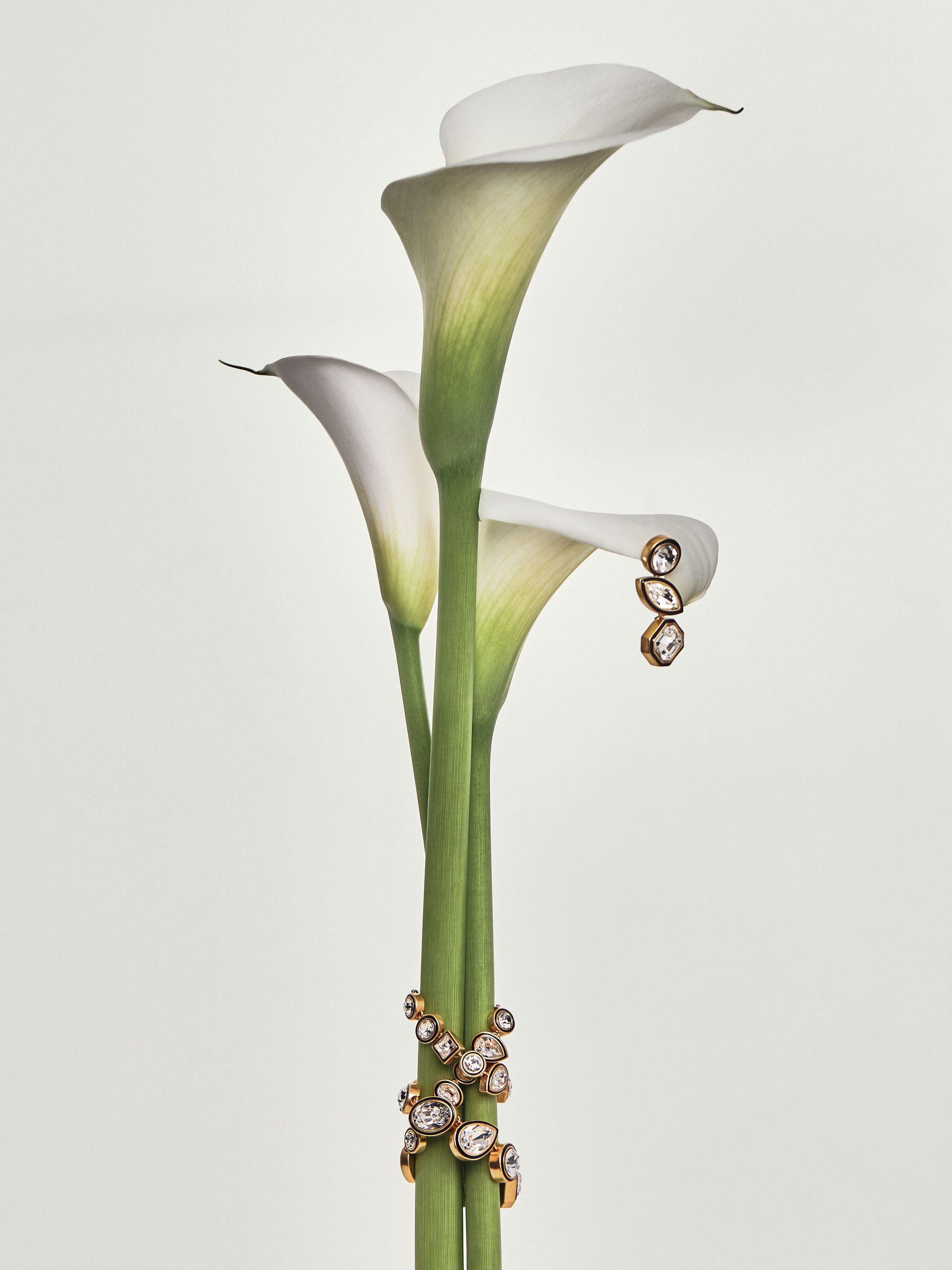 Tone Necklace in Gold Product Image