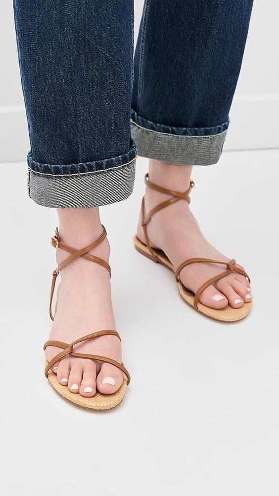 Sam Edelman Ellina Sandals | Shopbop Product Image