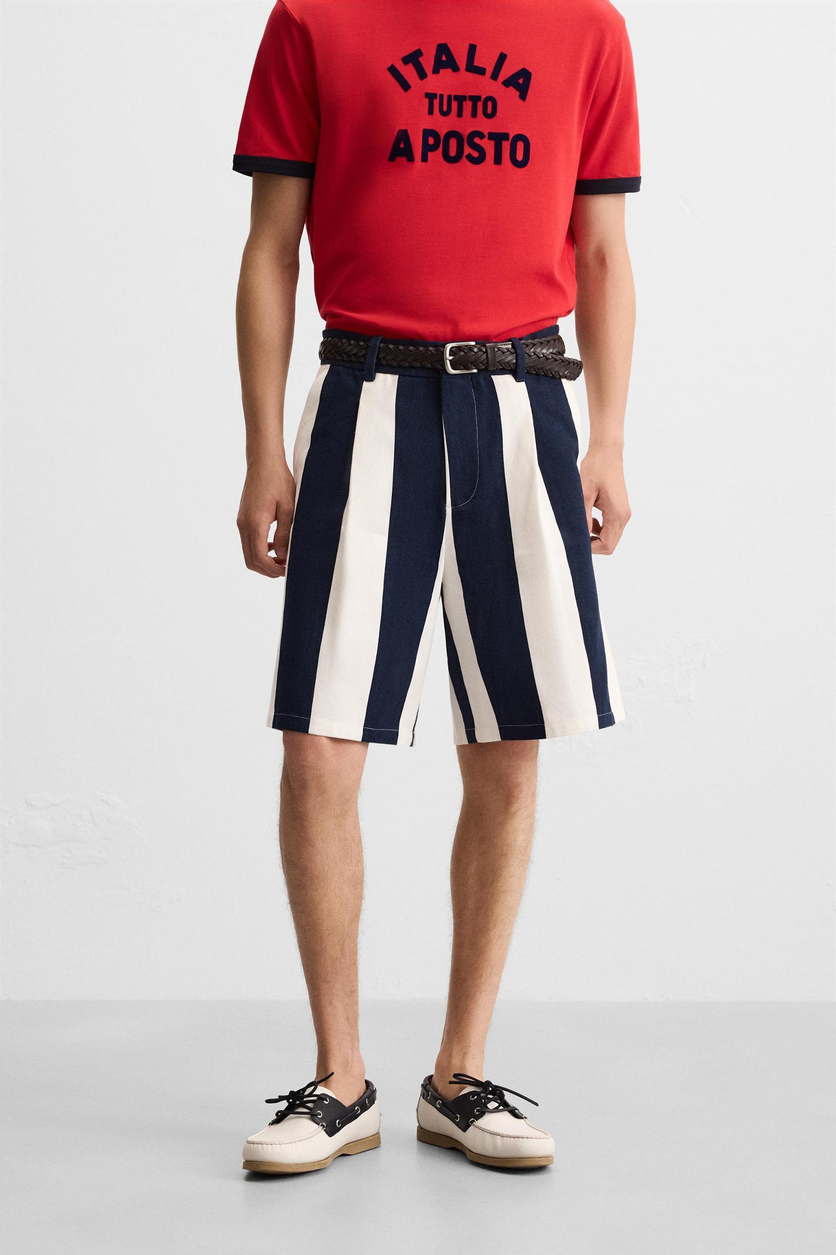PLEATED STRIPED SHORTS Product Image