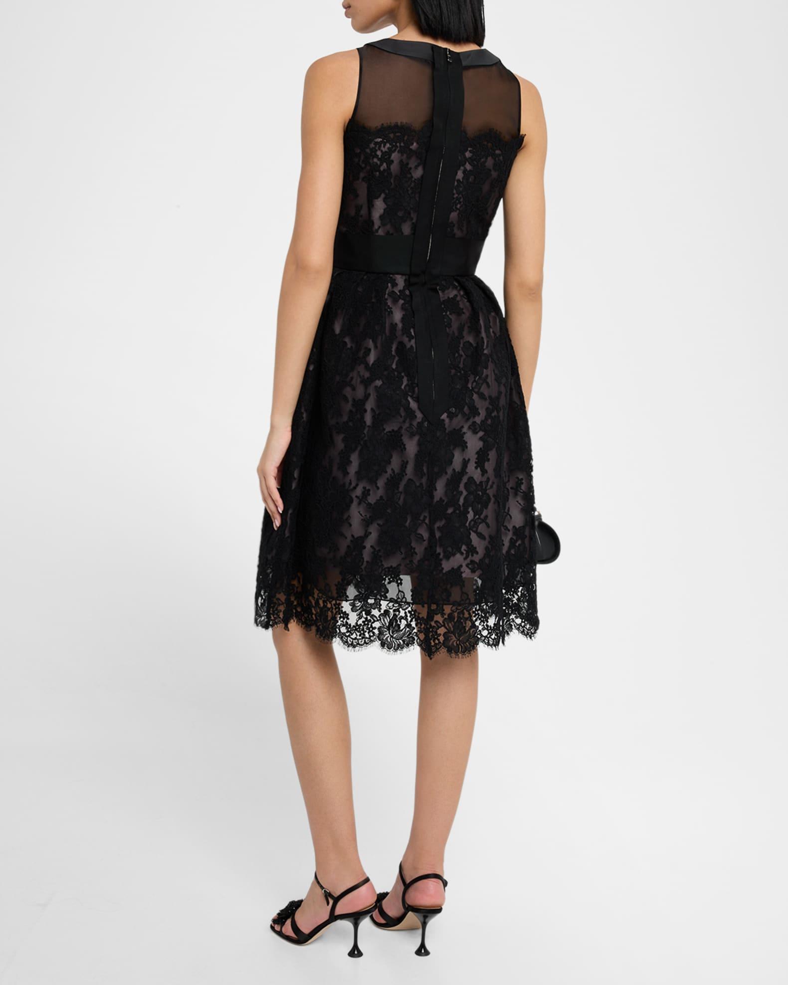 Lace Sleeveless Fit-&-Flare Dress Product Image