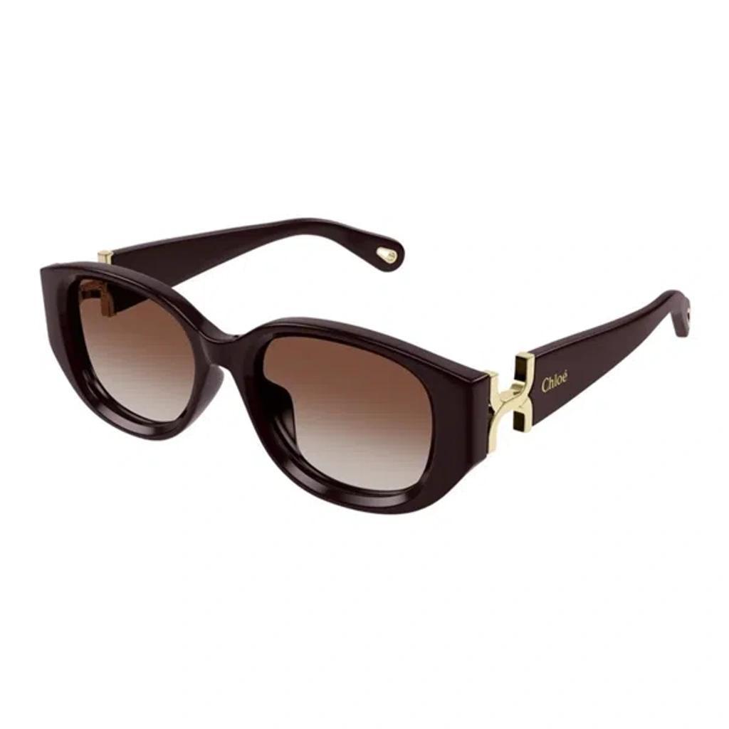 CHLOÉ Women's Chloã© Ch0237sk 003 Sunglasses In Garnet Product Image