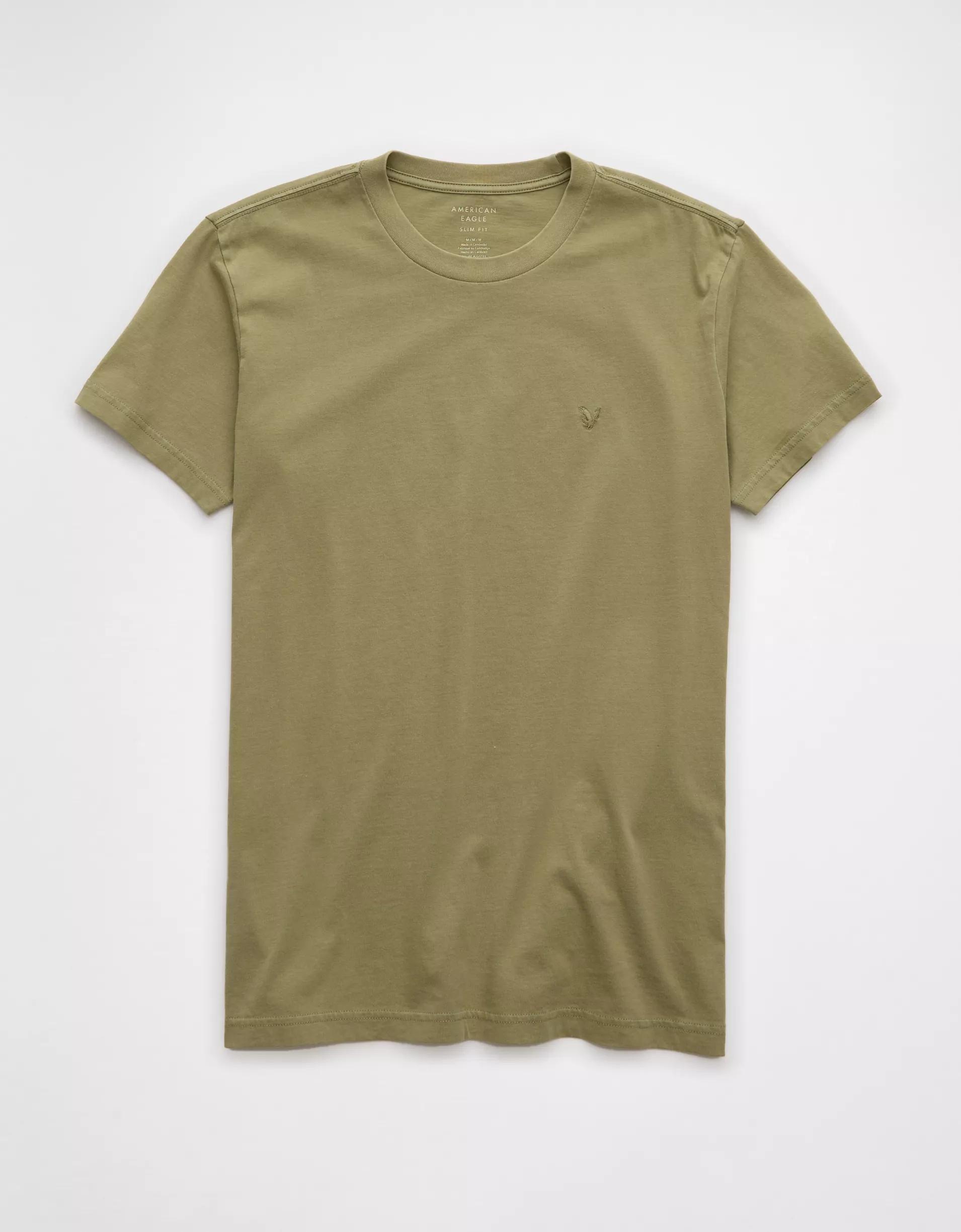 AE Lived-In Slim T-Shirt Product Image