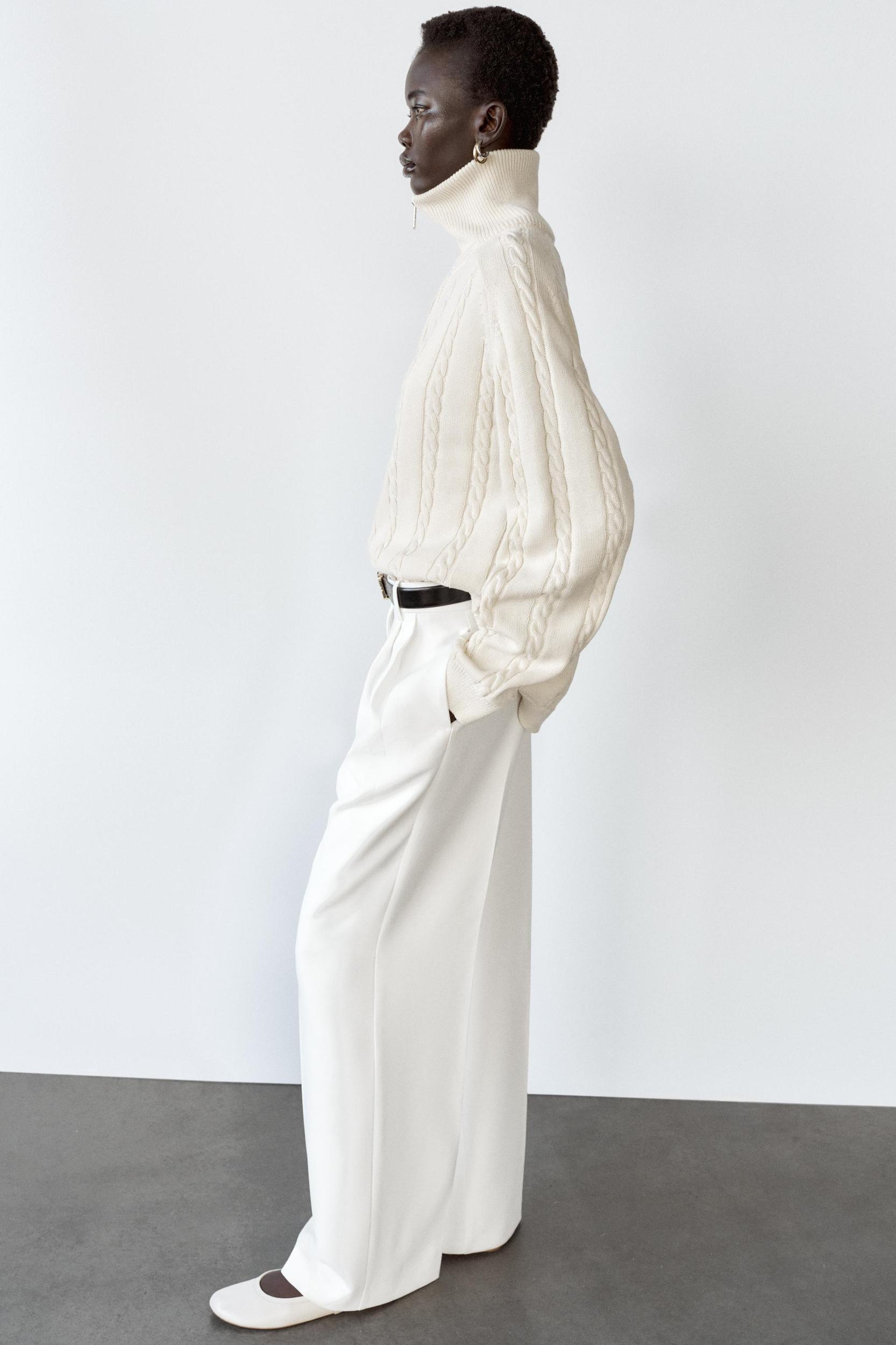 WIDE LEG PANTS WITH DARTS Product Image