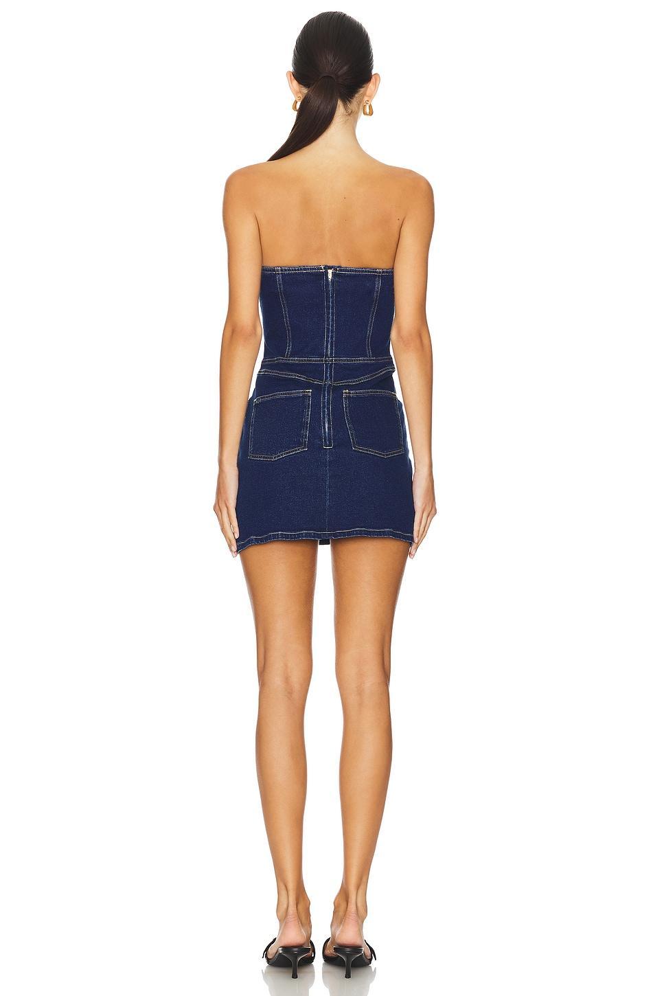 Emilia Denim Mini Dress Karina Grimaldi Product Image