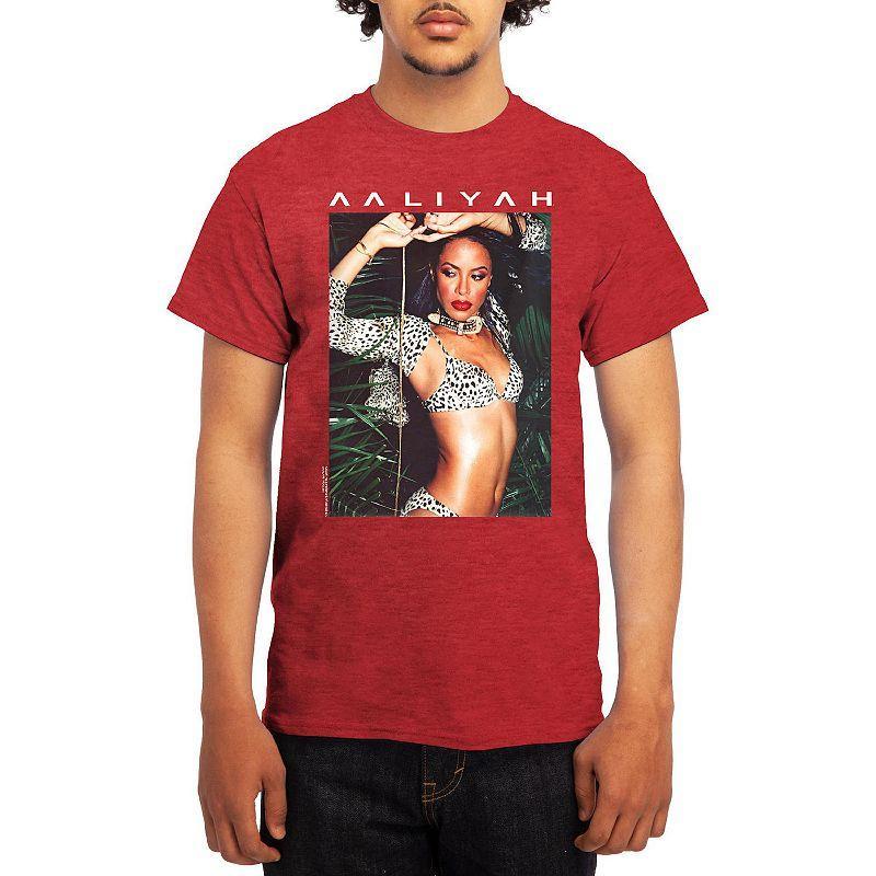 Mens Aaliyah Tee Grey Lt Blue Product Image