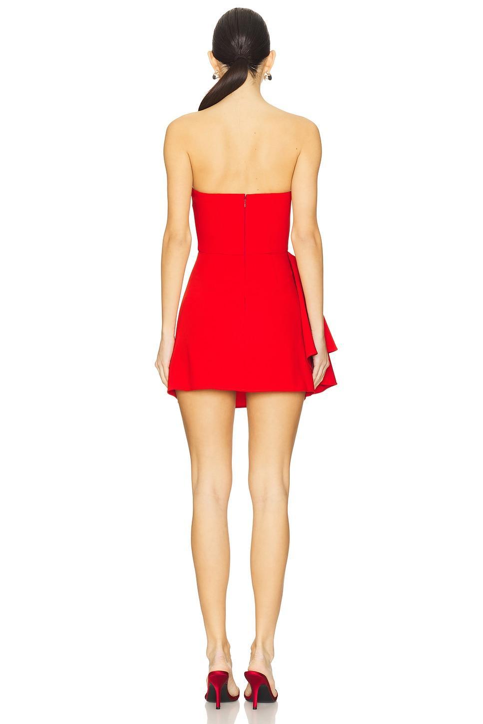 Wren Mini Dress NBD Product Image