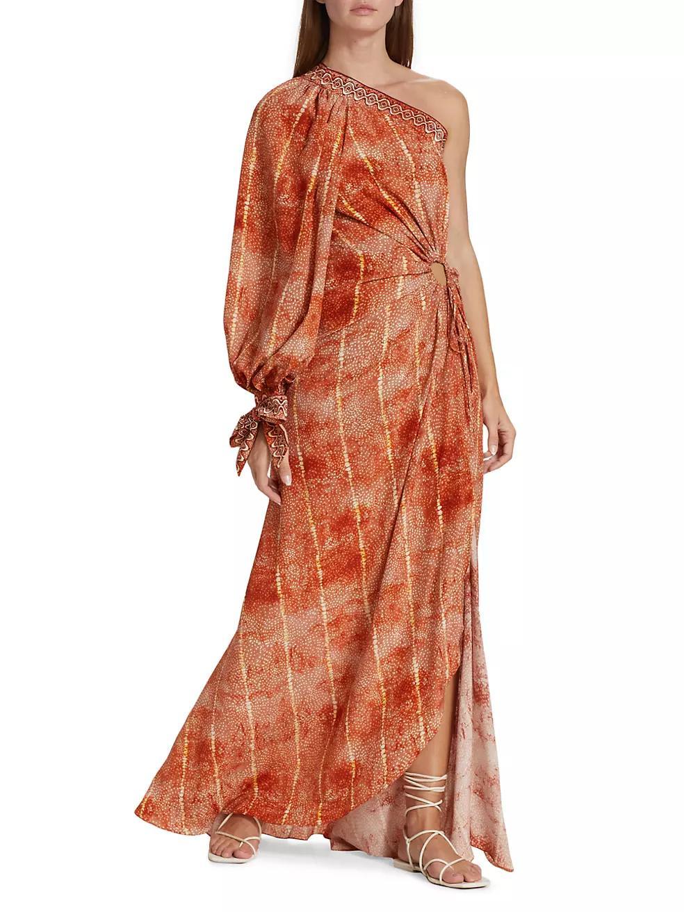 Raiz - R23 Ruba Printed One-Shoulder Maxi Dress Product Image