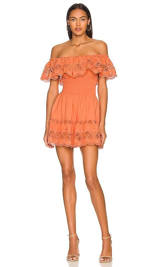 Lovers and Friends Dallas Mini Dress in Peach Product Image