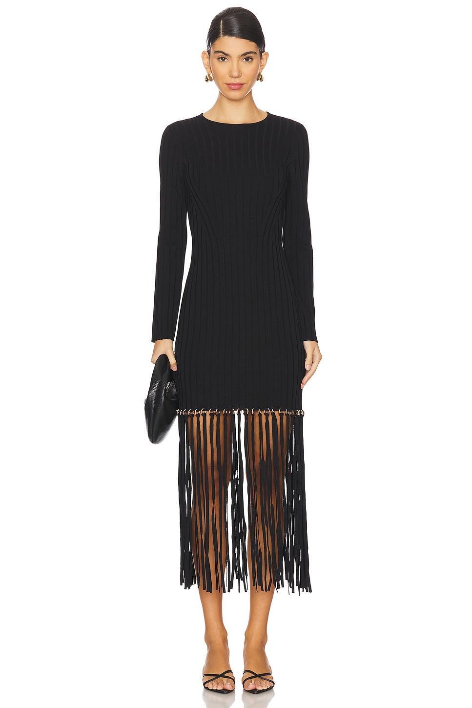 Sharron Maxi Fringe Dress SIMKHAI Product Image