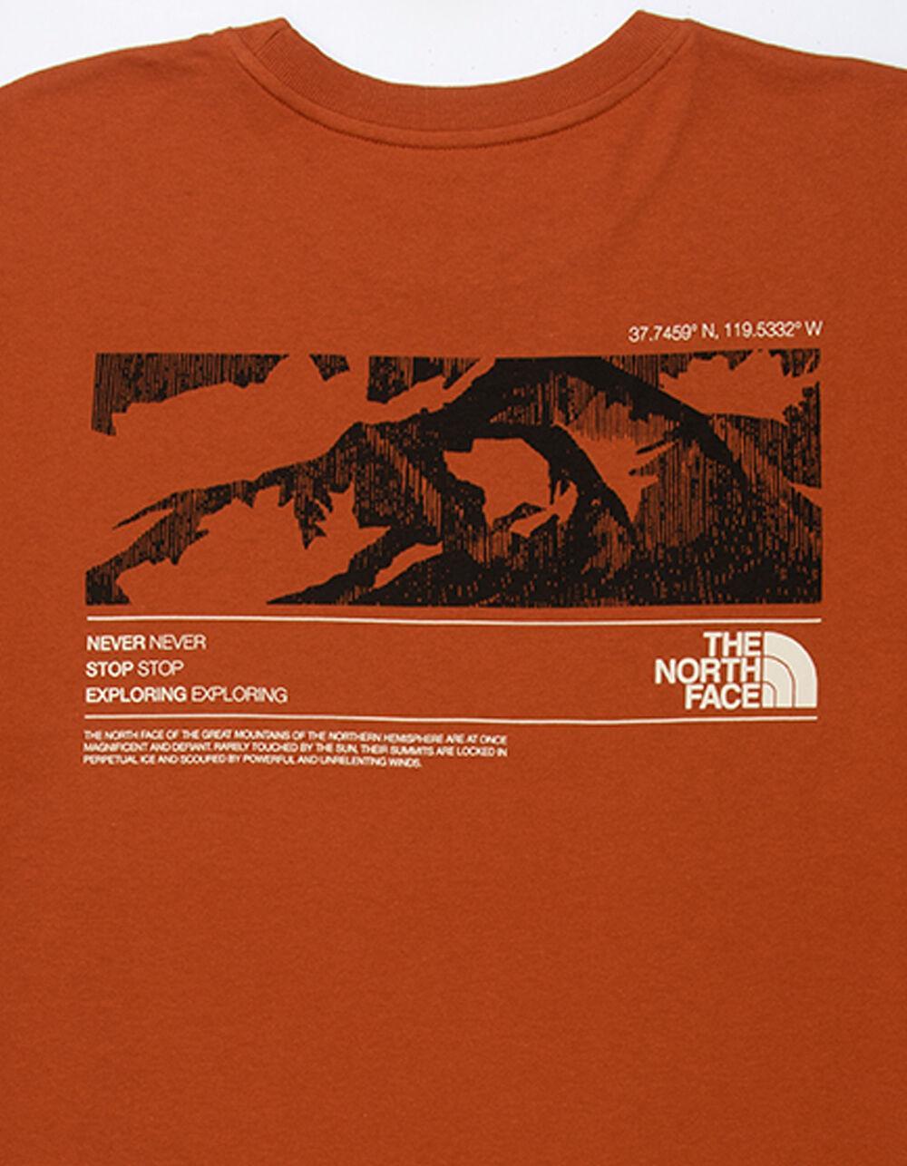 THE NORTH FACE Coordinates Mens Tee - TAN Product Image