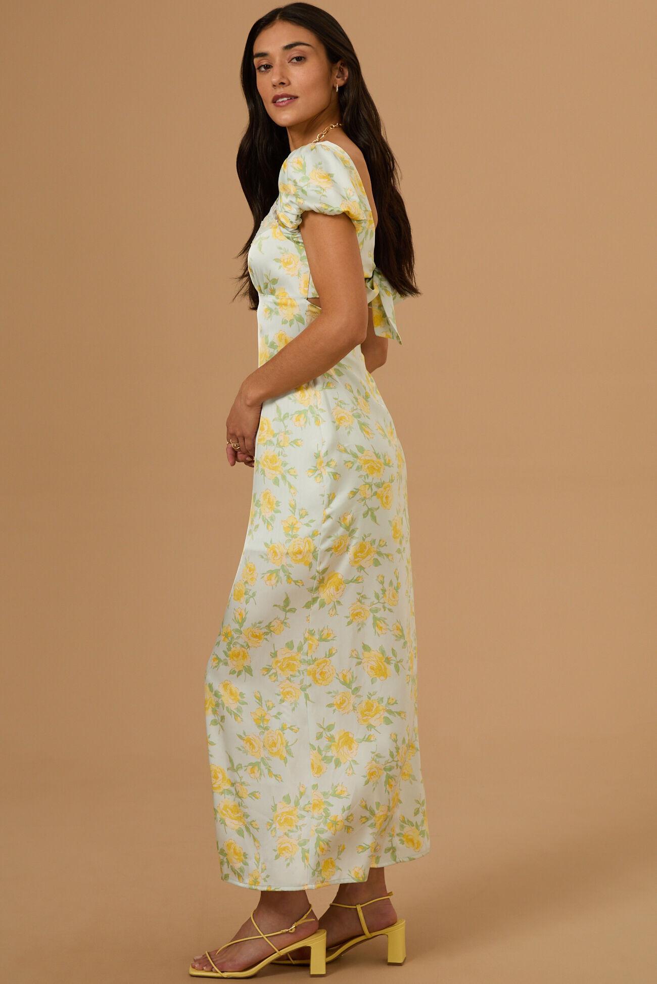 Paisley Floral Maxi Dress Product Image