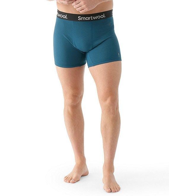 SmartWool Active Boxer Briefs Product Image