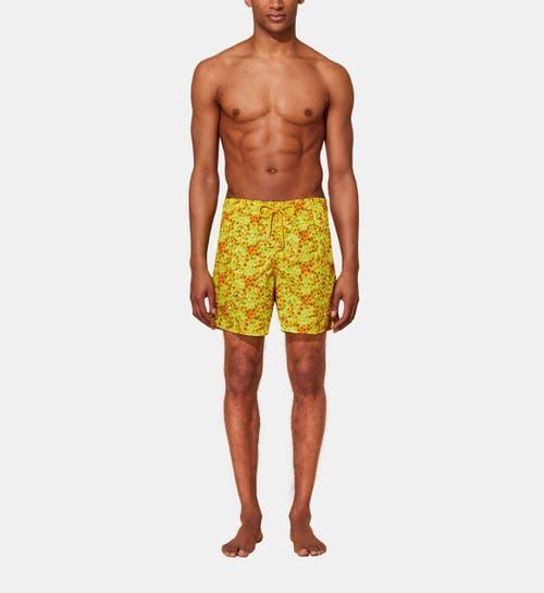 Mens Moorea Turtle Swim Trunks Product Image