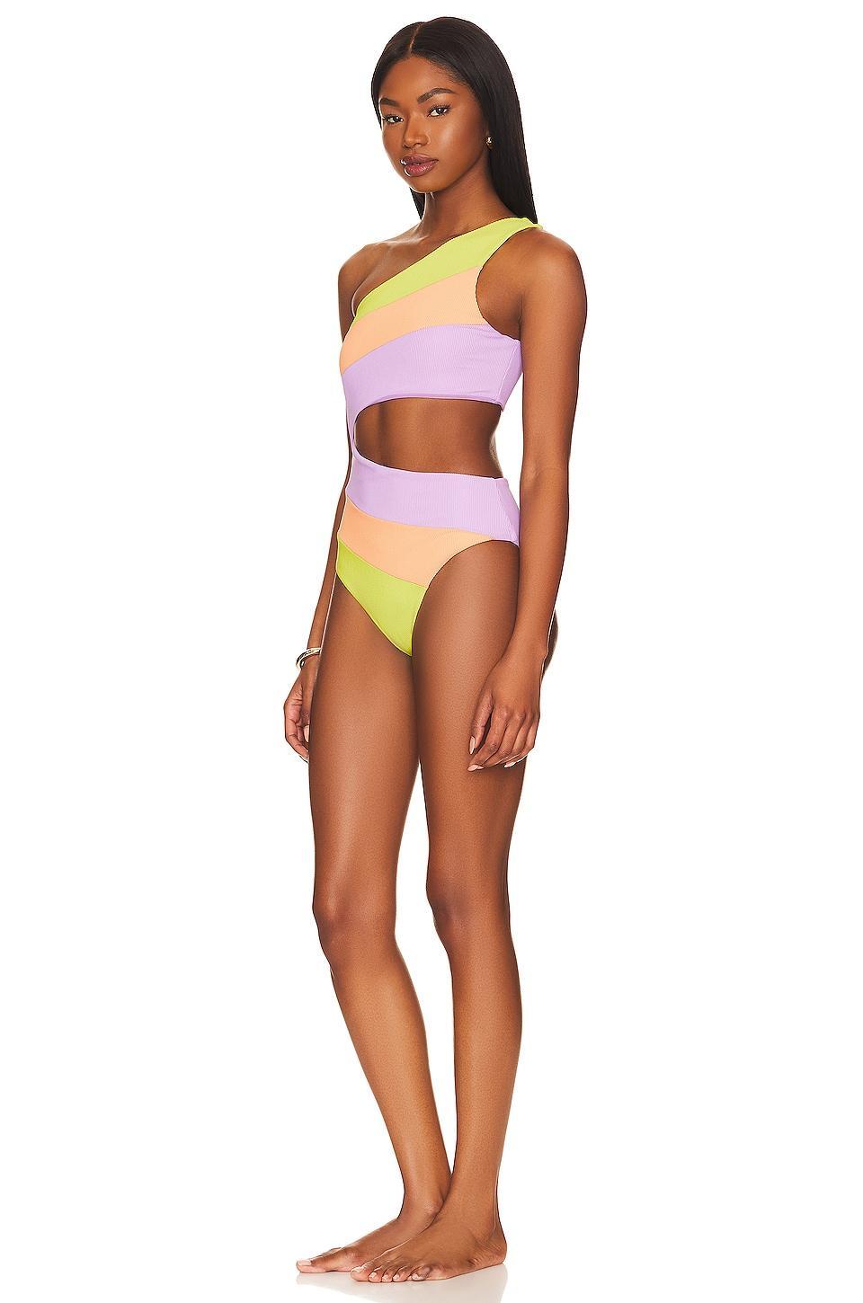 Joyce One Piece BEACH RIOT Product Image