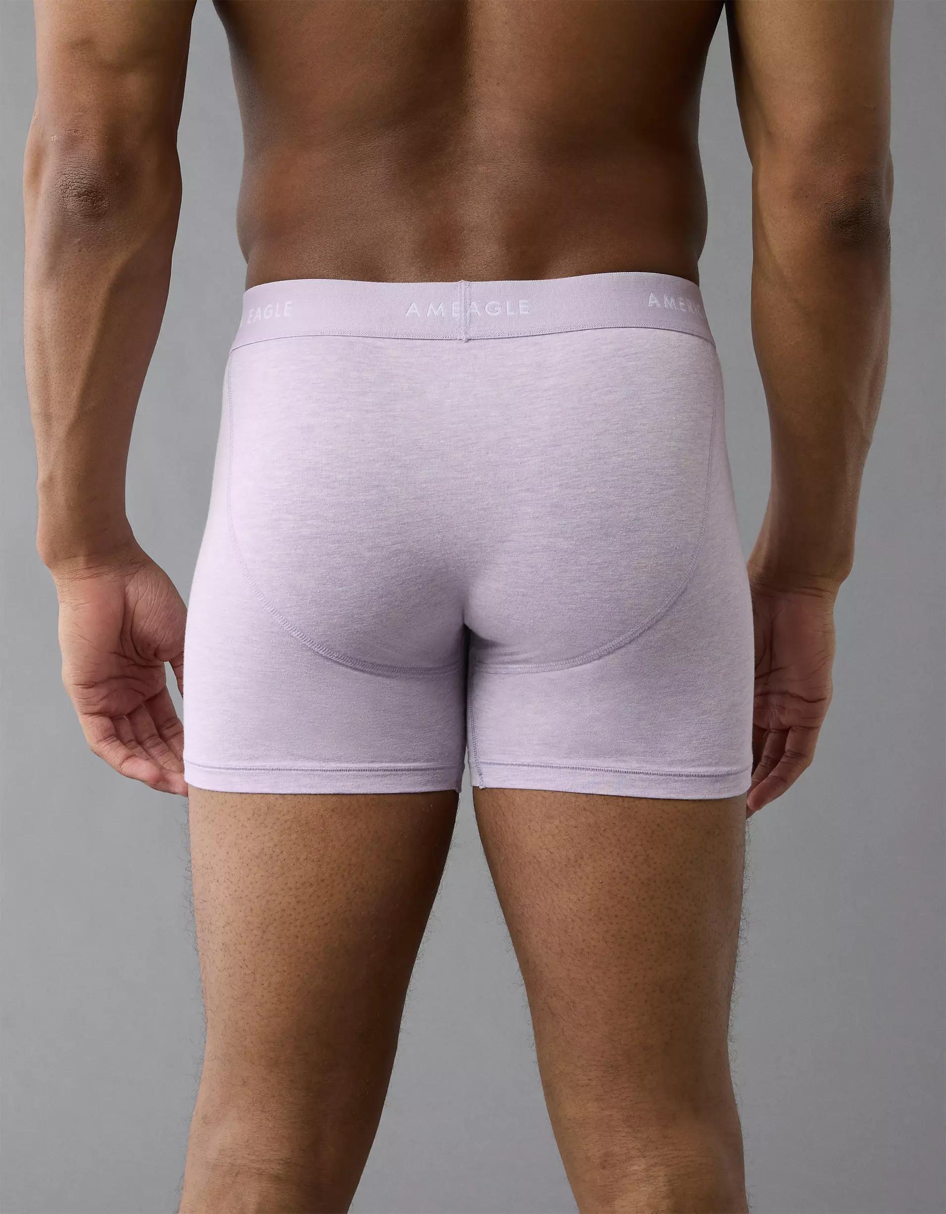 AEO Men's 4.5" Classic Boxer Brief Product Image