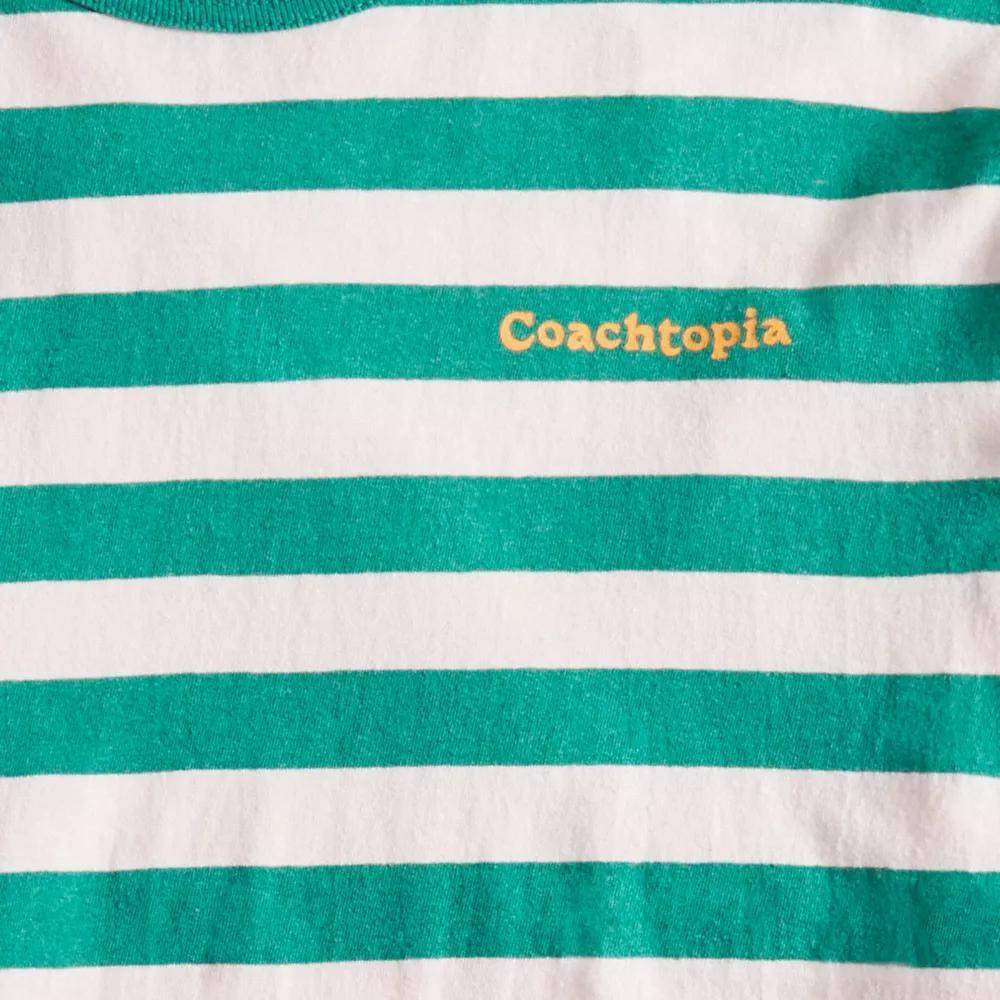 Long Sleeve T Shirt With Stripe Pattern Product Image