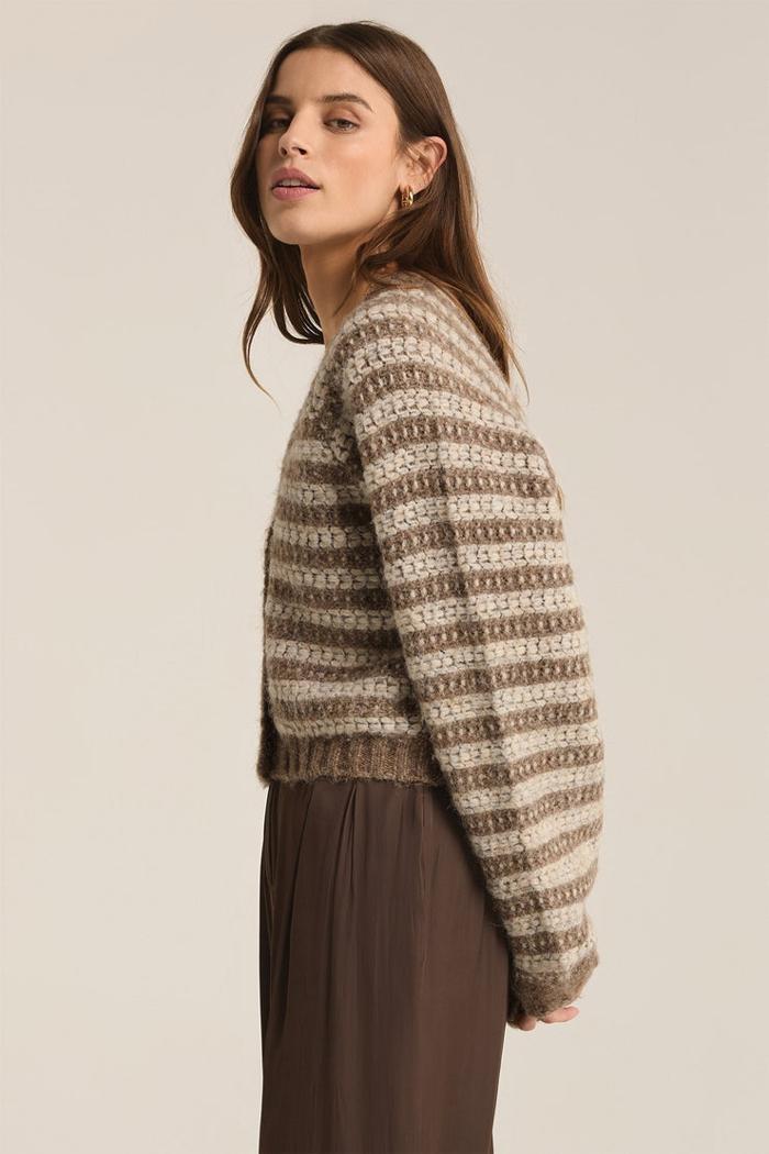 Este Metallic Stripe Cardigan Product Image