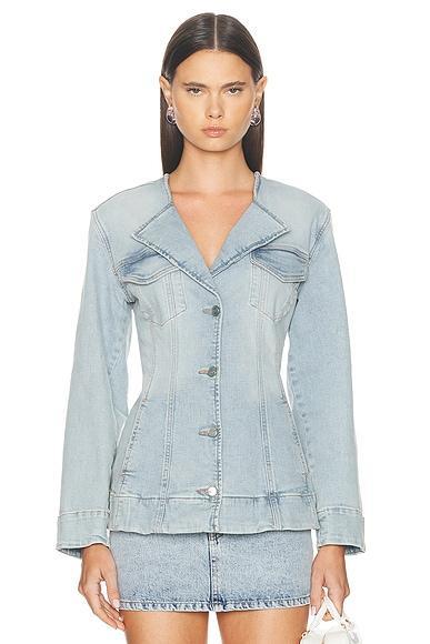 Fitted Blazer Product Image