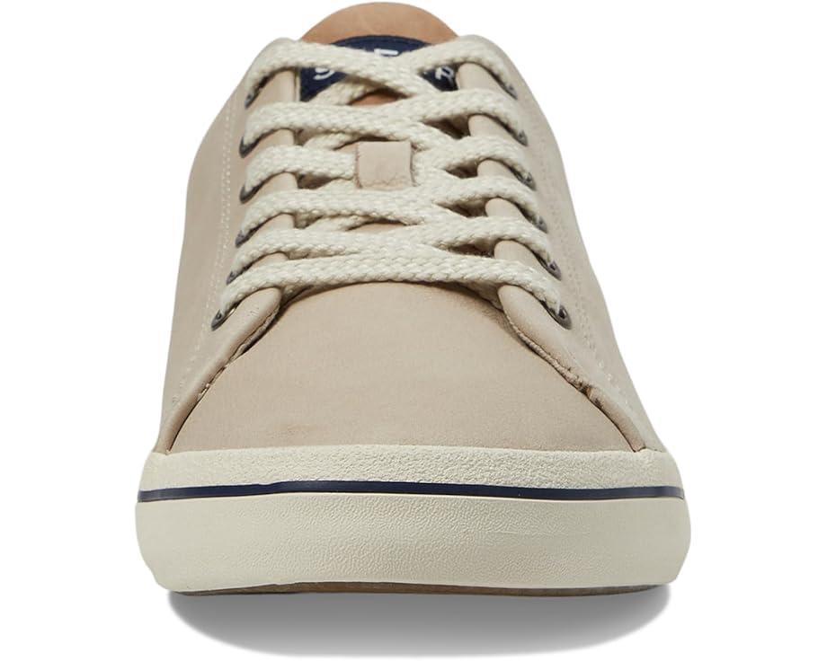 CVO Canvas Product Image